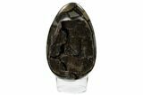 Septarian Dragon Egg Geode - Black Crystals #172818-1